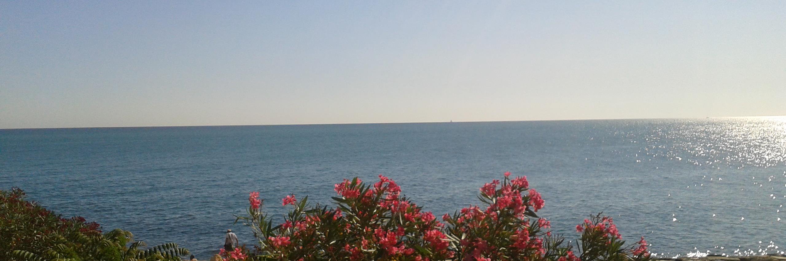 giuliacaputo92's profile banner image
