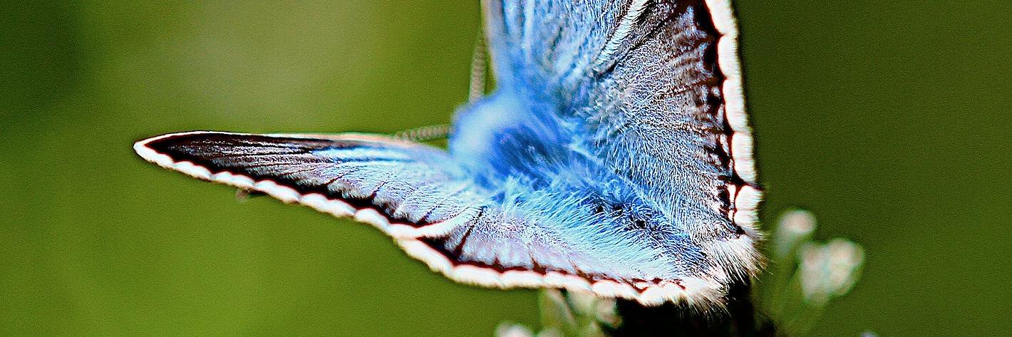 GailBPhotograph's profile banner image