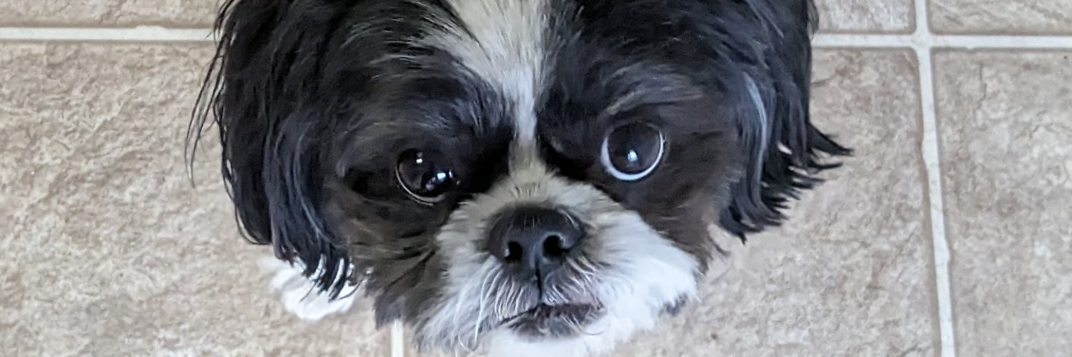 EllenViolaThomp's profile banner image