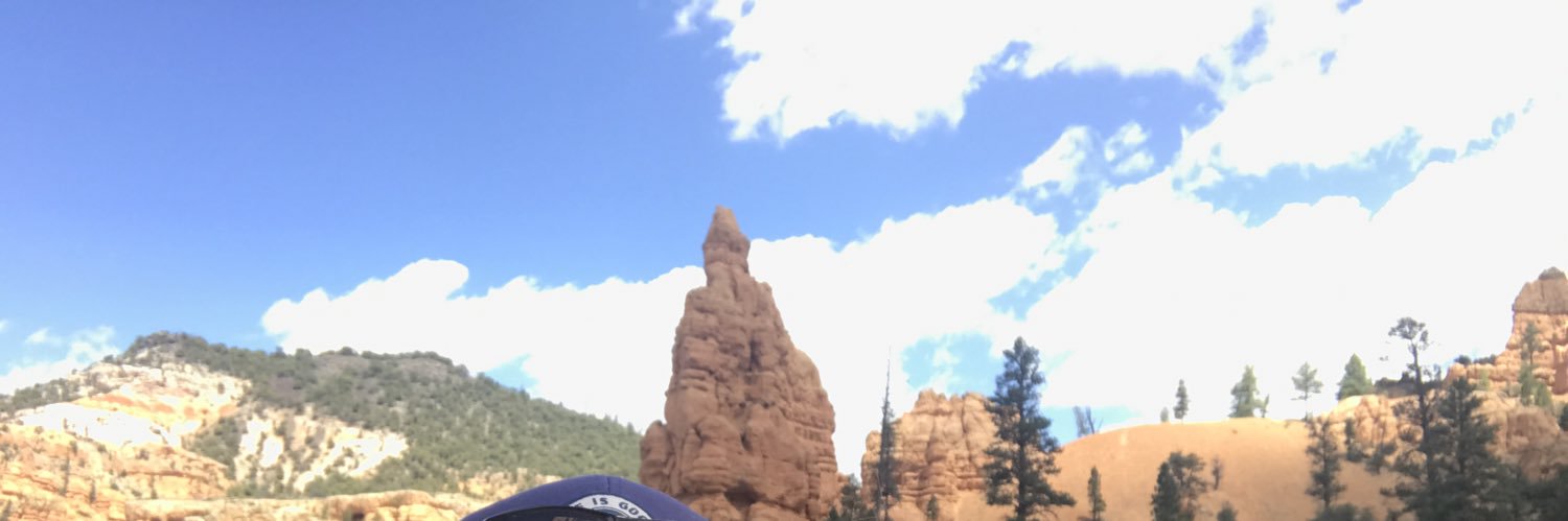 Olivia Coleman banner