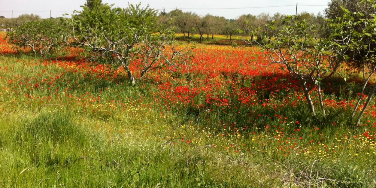 Erik Jan Bakker banner