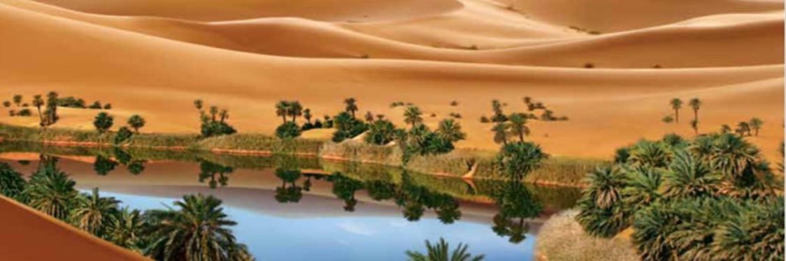 007_mu's profile banner image