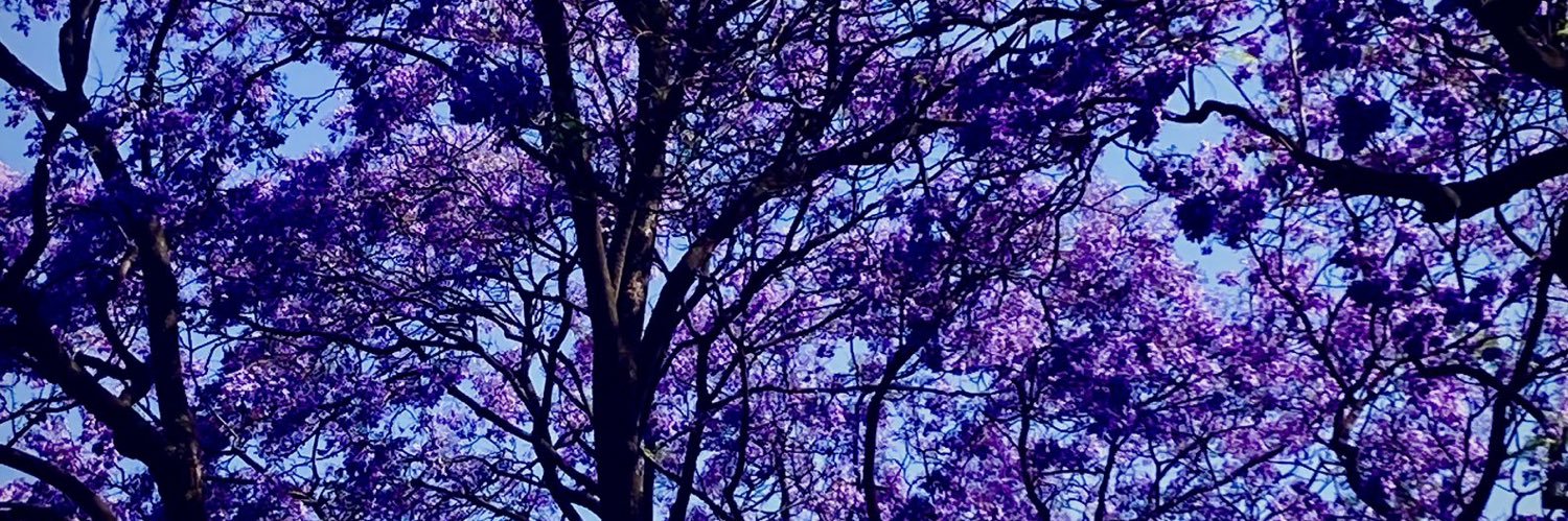 paceve's profile banner image