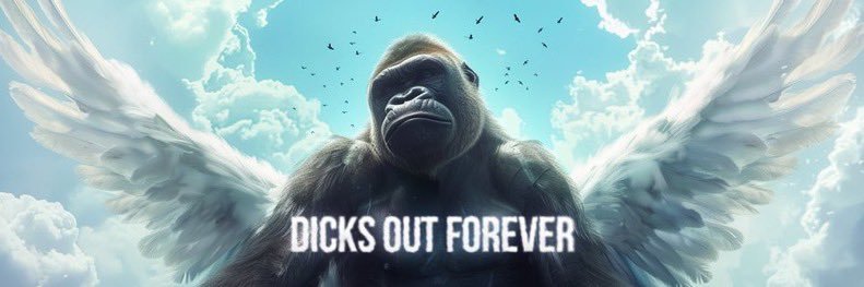 0xRaki ( 🦍 , 🦍 ) banner