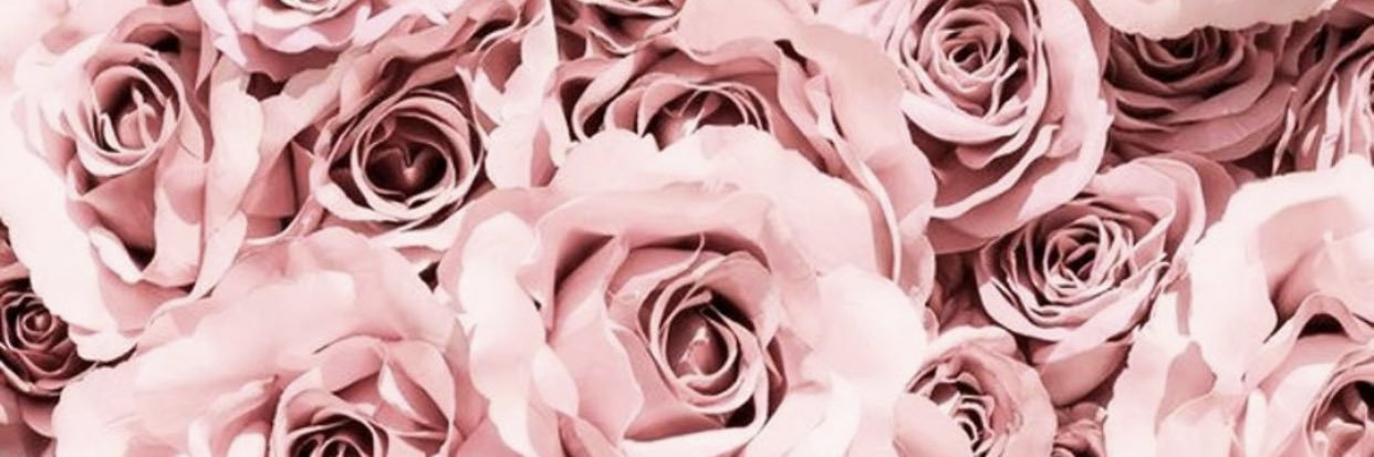 MariaJoseRacero's profile banner image
