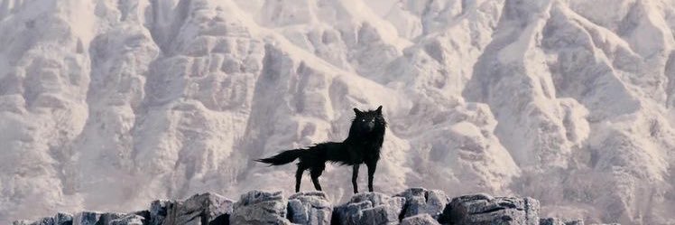 imRaoHaroon's profile banner image