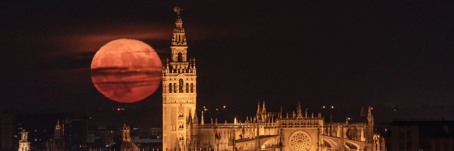 verabertoni's profile banner image