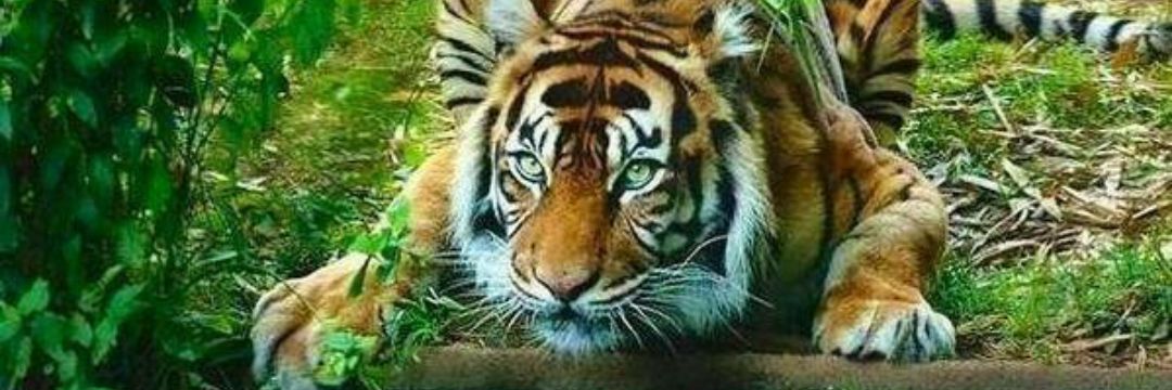 danicampos_89's profile banner image