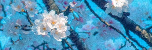 uuchinoo Profile Banner