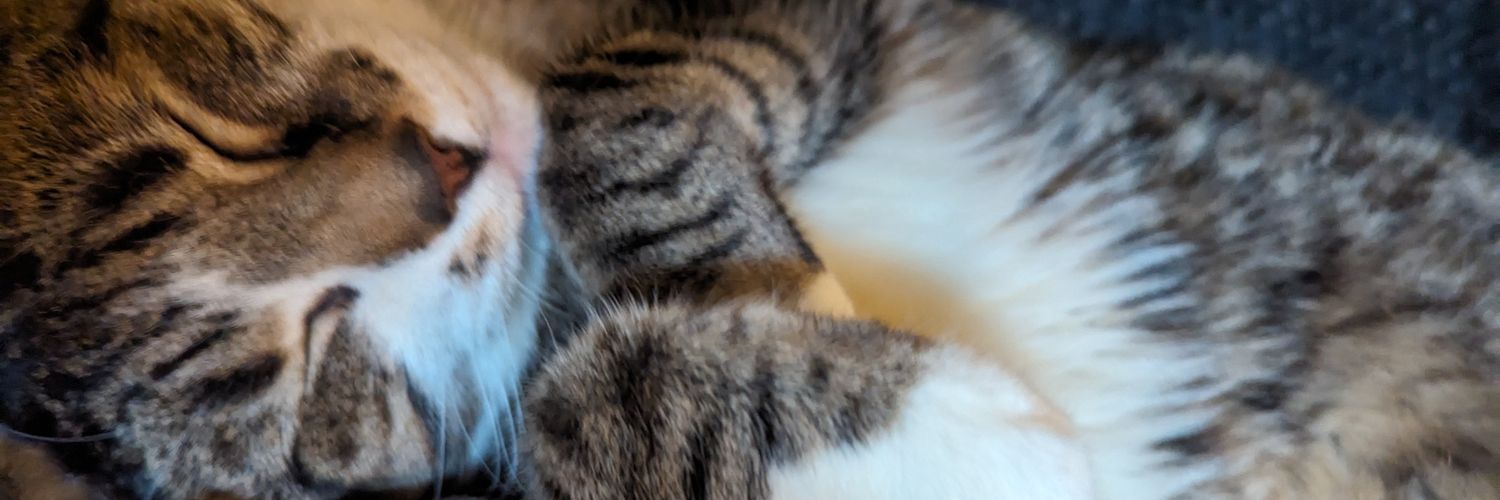 jafree. banner