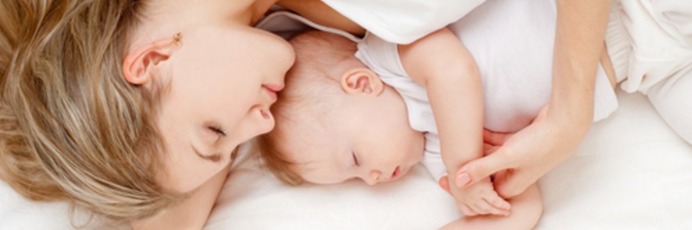 日本ショートスリーパー育成協会💫寝るを極めるは活動を極める banner