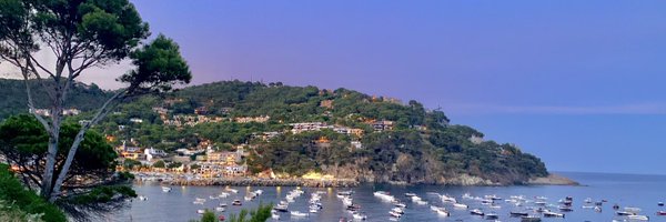 _natalielc Profile Banner