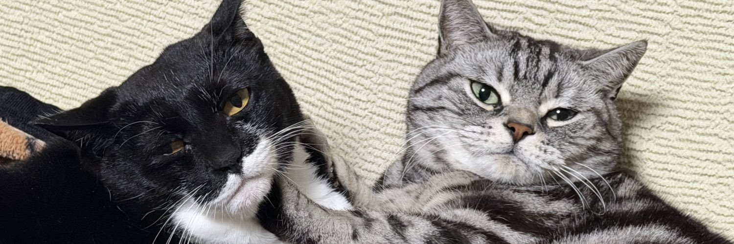 こたくろ兄弟 banner