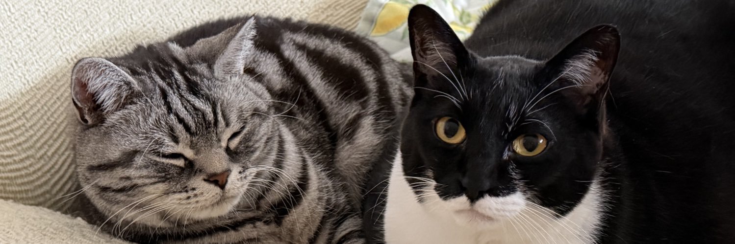 amesyo0's profile banner image