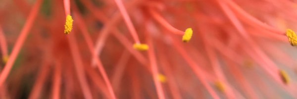 sumitbasu62 Profile Banner
