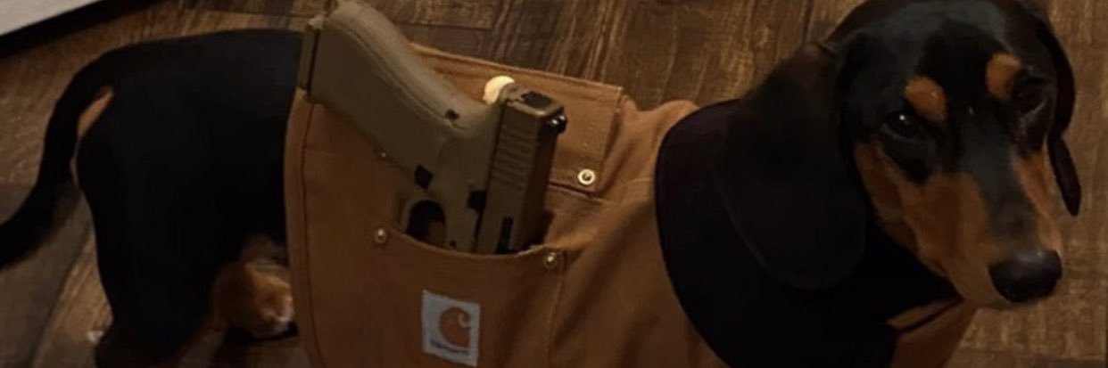 shitstafer's profile banner image