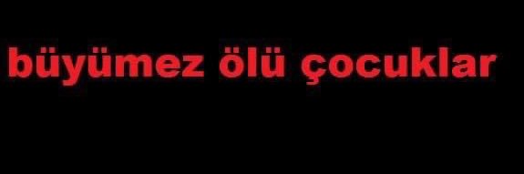 kıdemli delikanlı banner