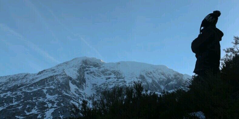Follabuffalez's profile banner image