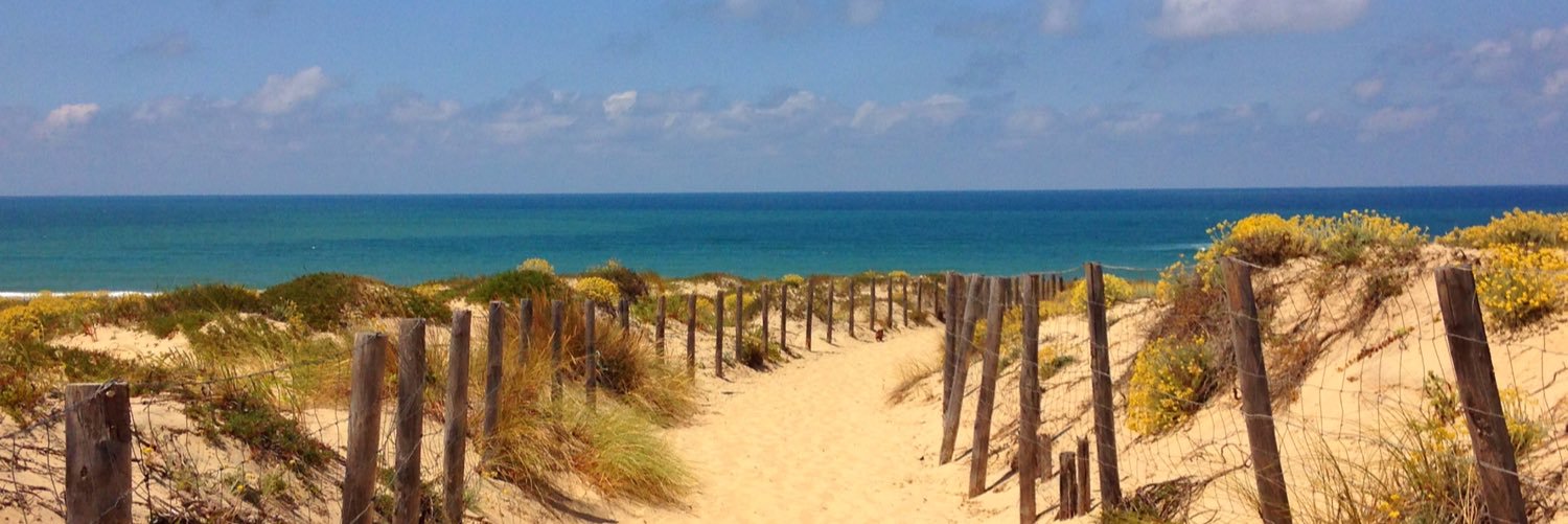 Alexandre Delpérier banner