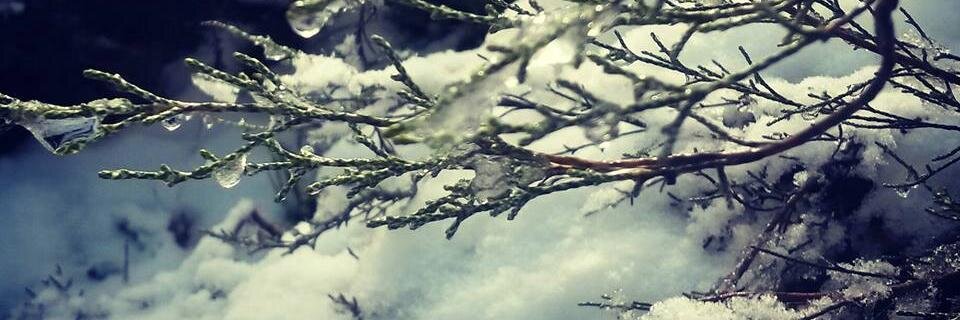 kay_designs's profile banner image