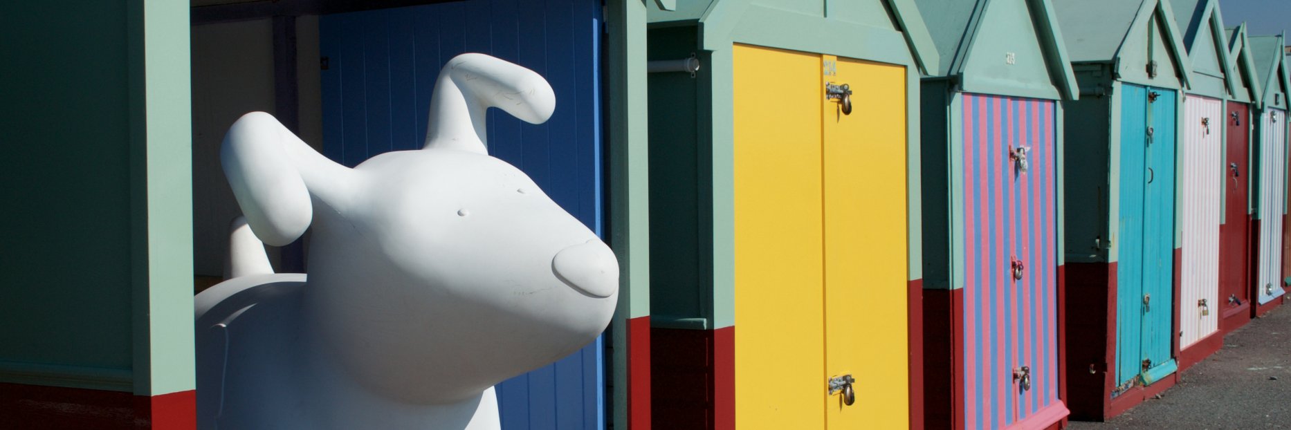 Charlie Langhorne banner