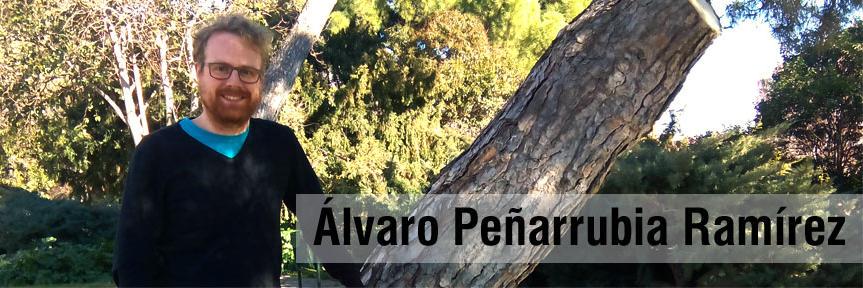 Álvaro PR banner