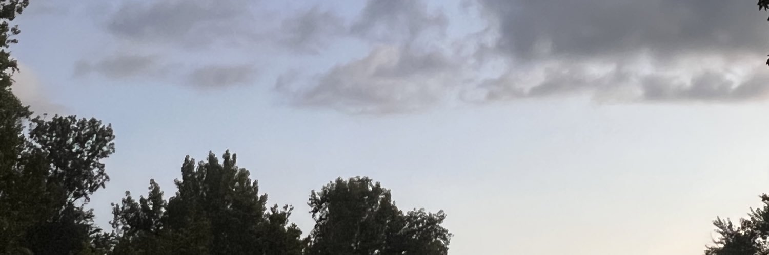 buzzliteweight's profile banner image