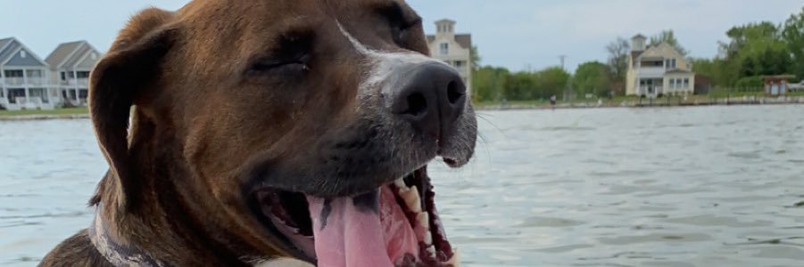 kakreager's profile banner image