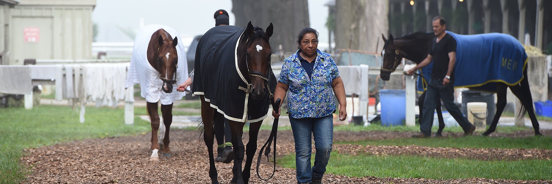 Safety Net Foundation banner