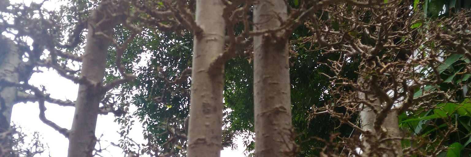 DrewCamps's profile banner image