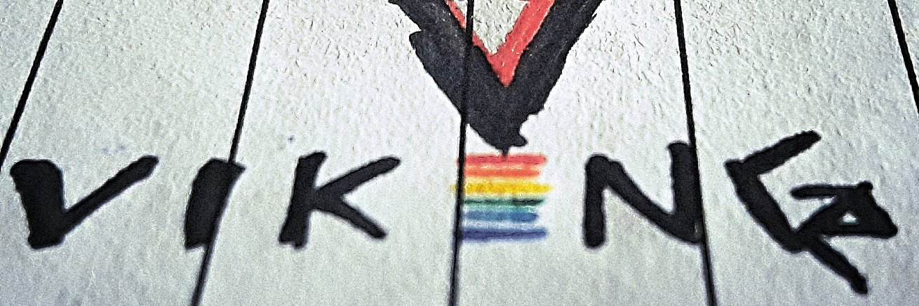 VegVikingR's profile banner image