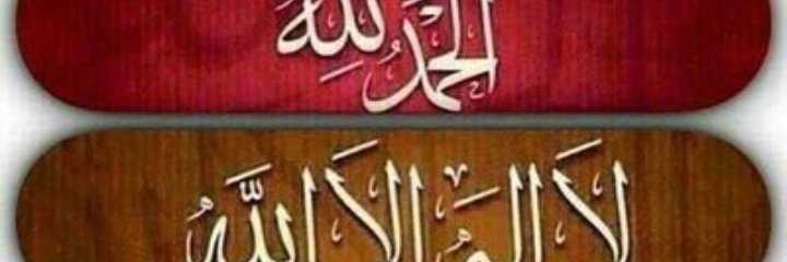Noureddine Djaldi banner