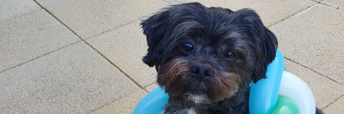 Hkennett64's profile banner image