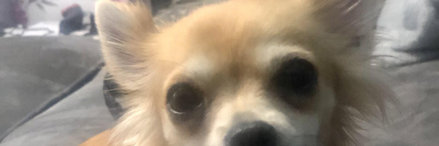 VictoriaHenri1's profile banner image