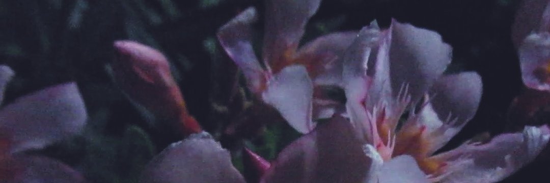 VicRBasaez's profile banner image
