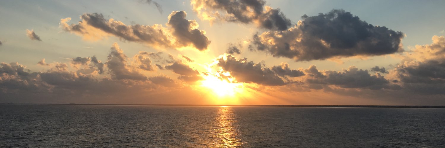 Ms. Erica O'Brien banner