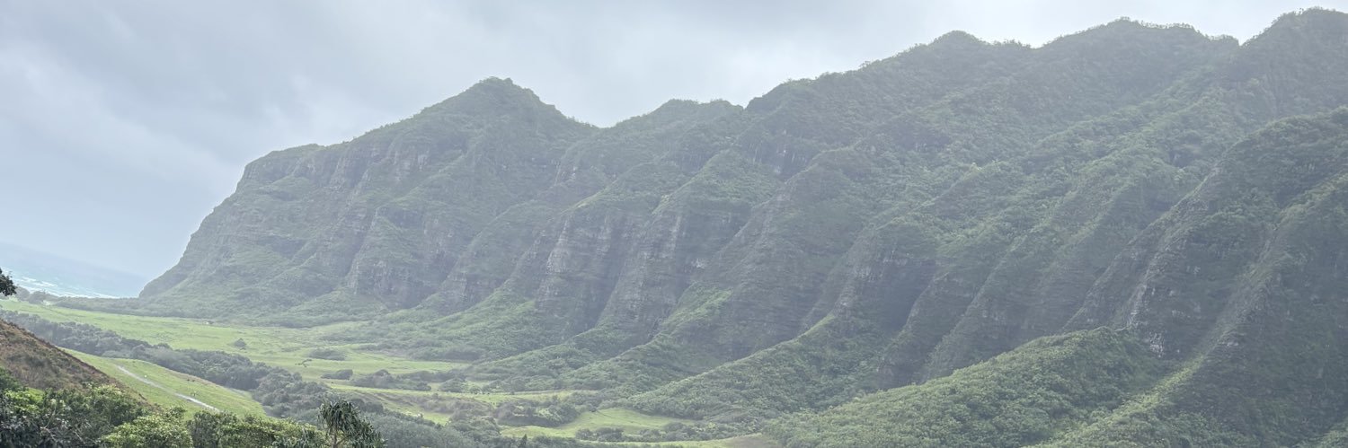 Hawaii Leonard banner