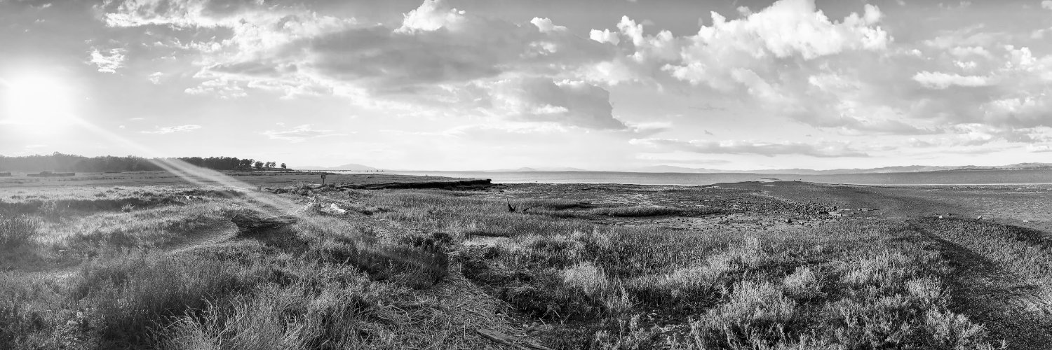 maurice mo woods banner