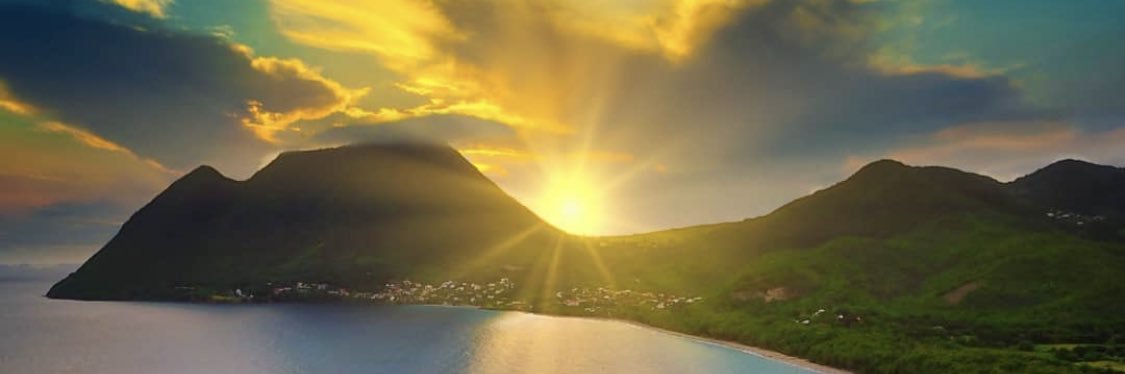 StephSalvadore's profile banner image