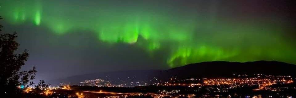 💜💙Stephanie W.💙💜🇺🇸🇨🇦 banner