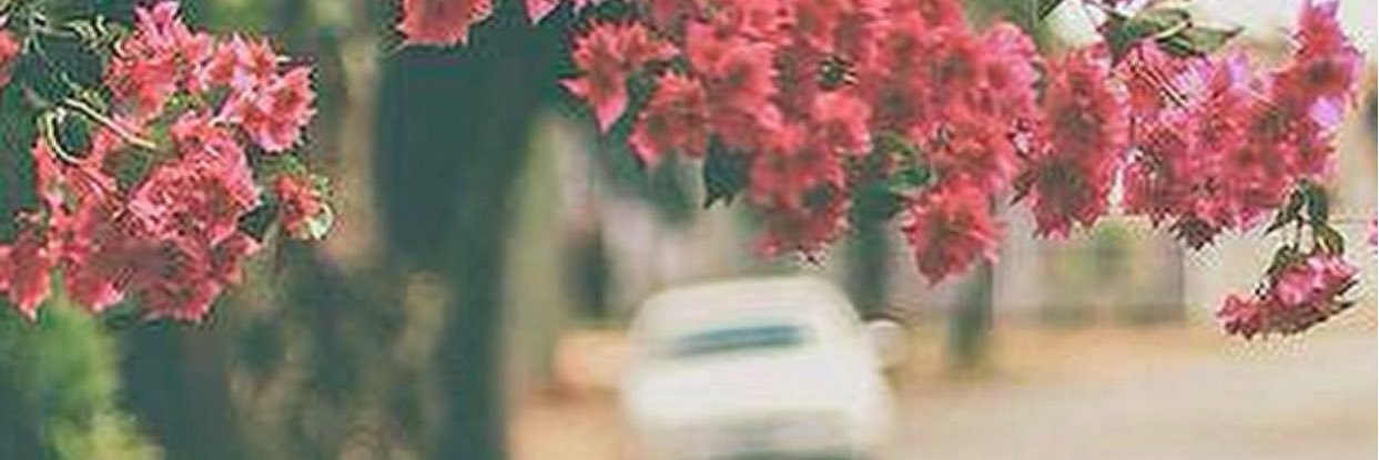 so0fia_'s profile banner image