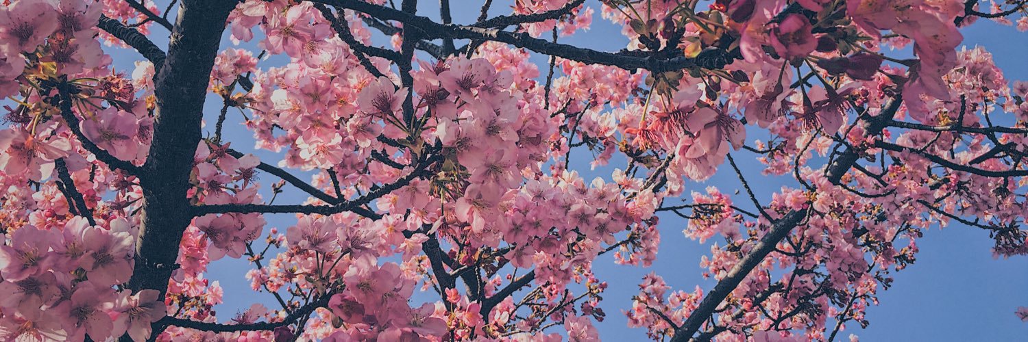 BADONG ☮️ CEASE FIRE NOW banner