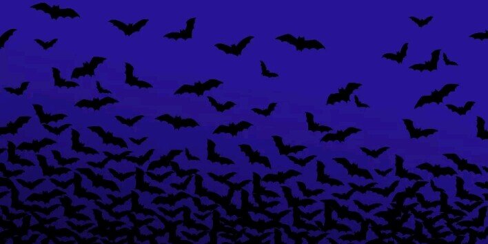 emalunt's profile banner image