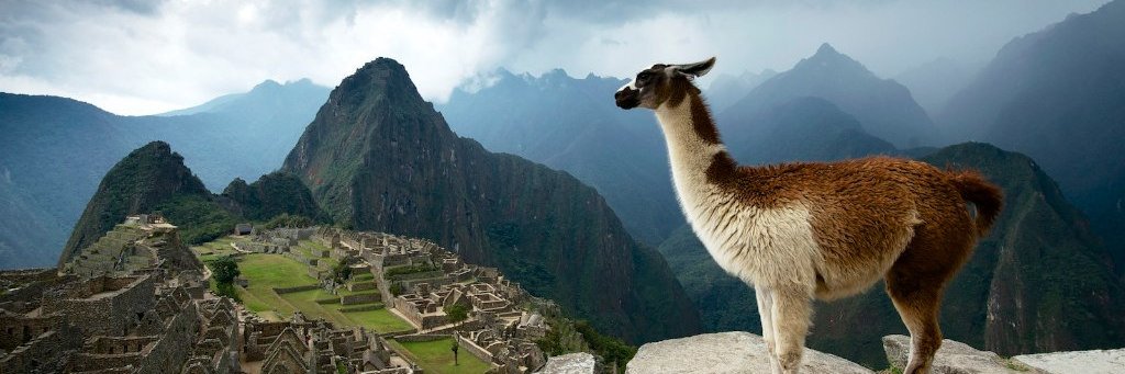 Waaitey Chung Ye 🇺🇲🇮🇱 🇺🇦 banner