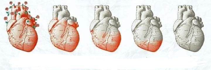 ✿ нîvdar ✿ banner
