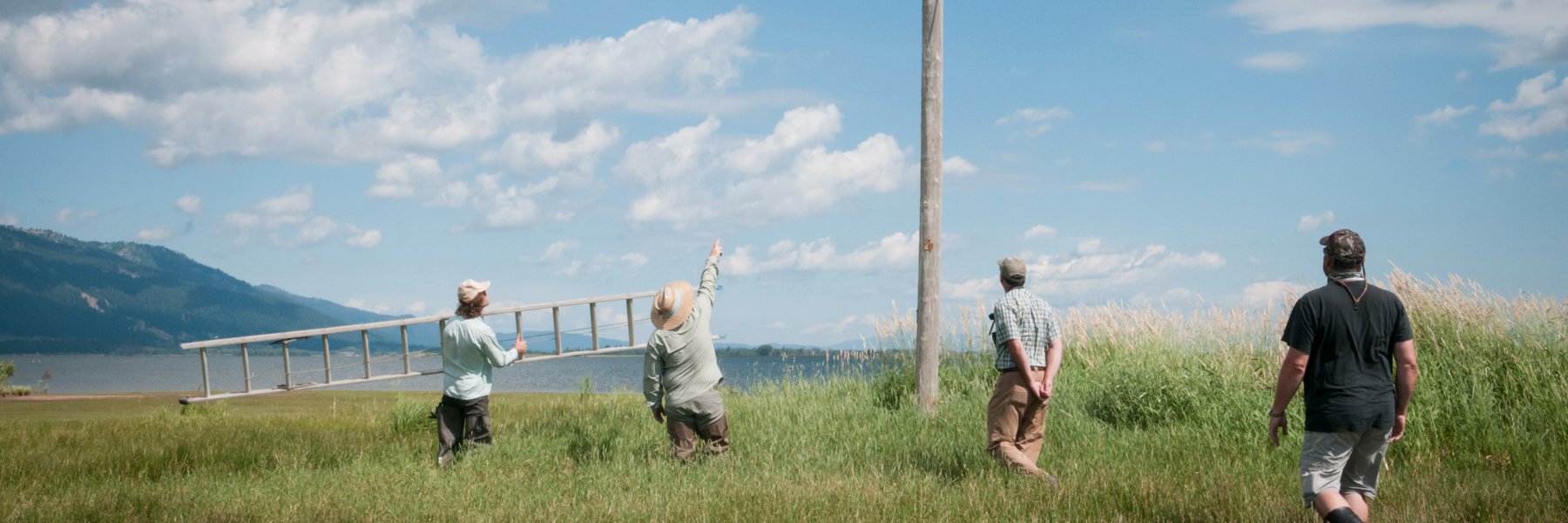 Boise State EEB banner