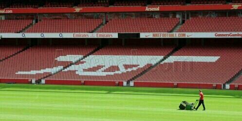 Tej14afc's profile banner image