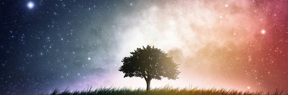 kapsztyfikator's profile banner image