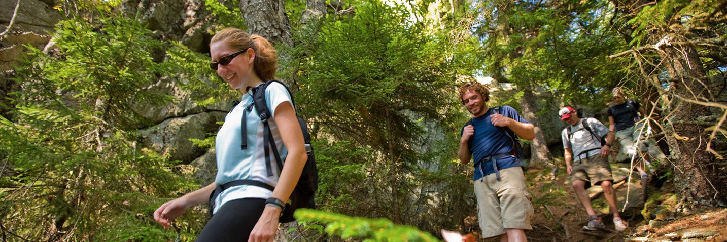NH Tourism Industry banner