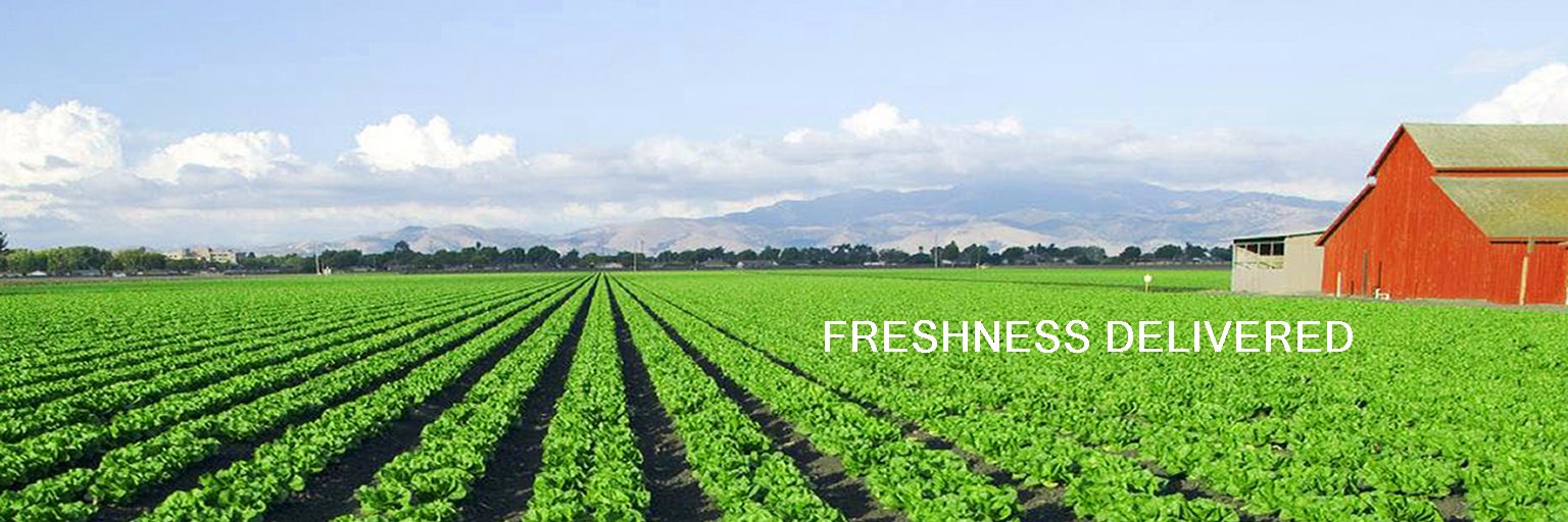 Zest_Fresh's profile banner image
